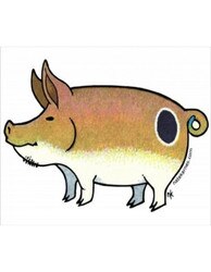 ScaleFish Studio Nate Karnes Pig Sticker in Redfish
